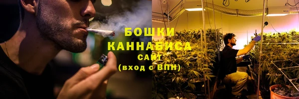 стаф Баксан