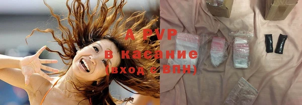 стаф Баксан