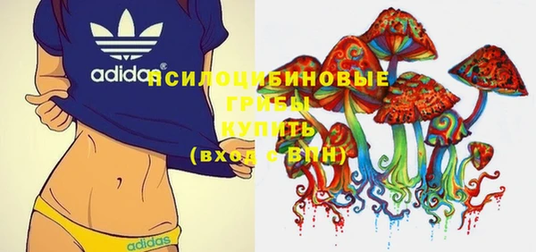 стаф Баксан