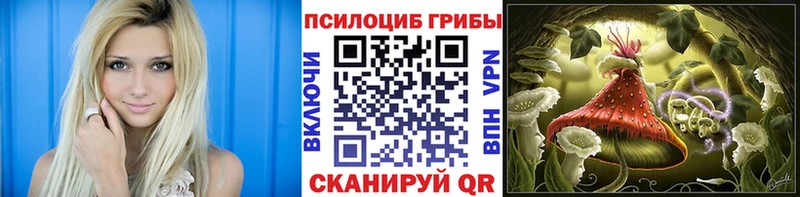 Галлюциногенные грибы Cubensis  Зверево 
